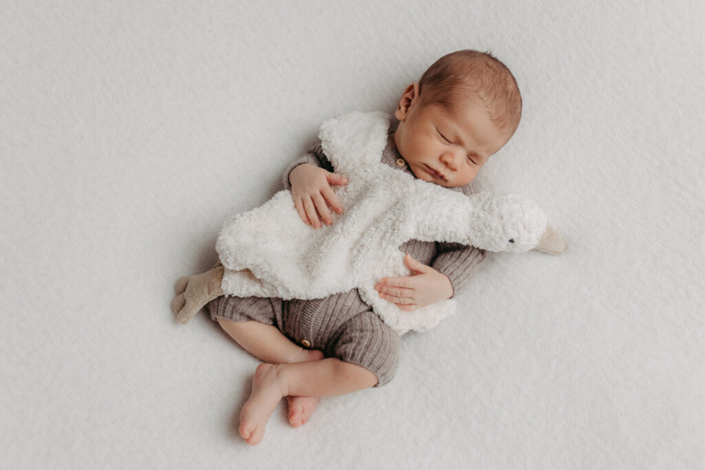 Auf dem Bild ist ein Baby. Es liegt auf einer weißen Decke und hält eine Gans als Kuscheltier in der Hand