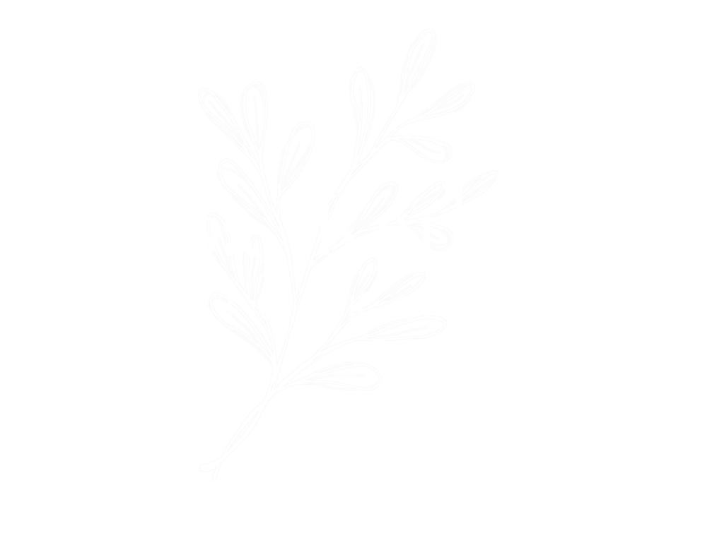Alyssa Rathfelder Fotografie Logo