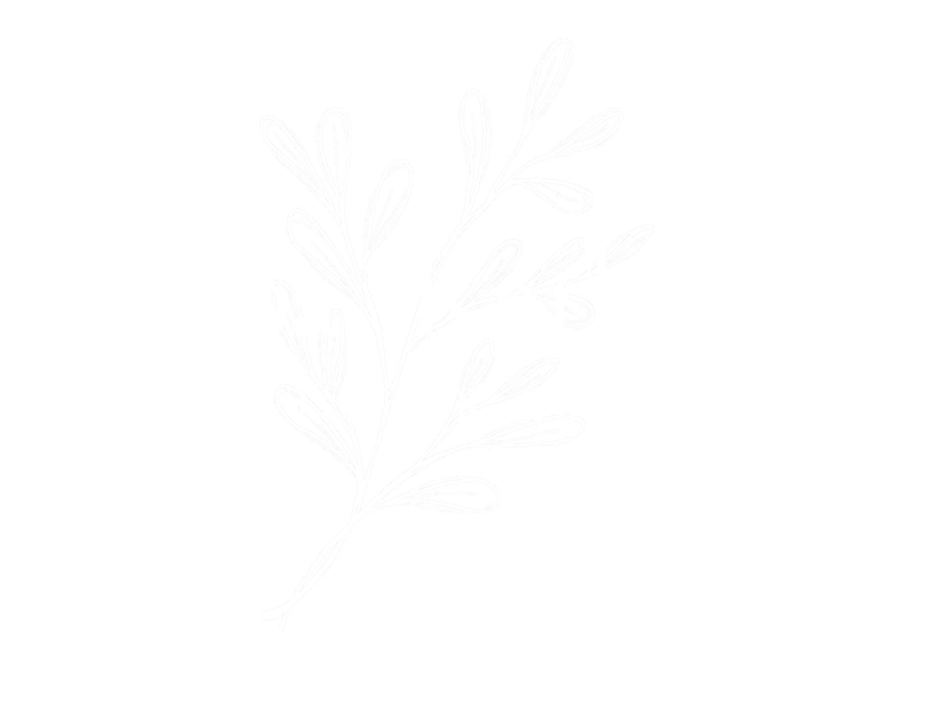 Alyssa Rathfelder Fotografie Logo